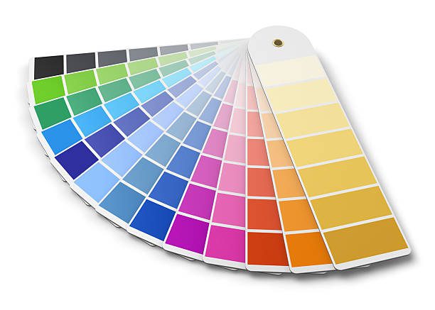  How to Identify the Perfect Color Palette for Your Building and Brand